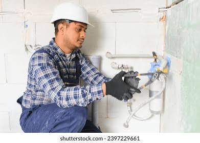 Plumbers rental in Technical and repair services category